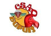 LOGO-CSA